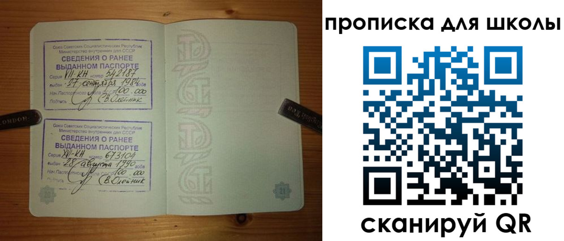 прописка для школы в Коврове